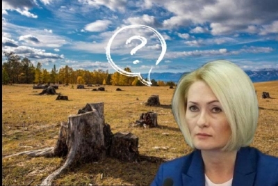 «Вали всё на предыдущего». Как Абрамченко за Байкалом не доглядела