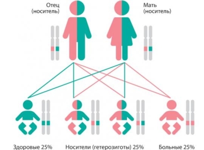 Генетические тесты. О чем еще может рассказать ваша ДНК?